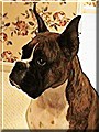 Bessie