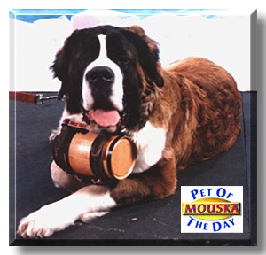 Mouska, the Pet of the Day