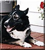 Buster