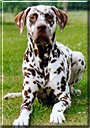 George