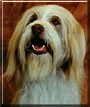 Barkly