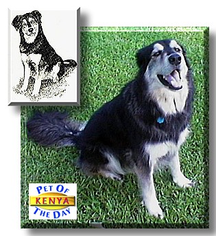 Kenya, the Pet of the Day
