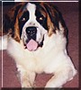 Brunhilde
