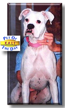 Kali, the Pet of the Day