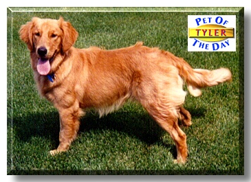 Tyler Casey, the Pet of the Day