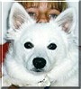 Snowball