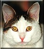 Kiska