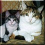 Chloe, Annabelle