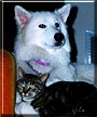 Betty Boop, Raja