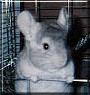 Binky