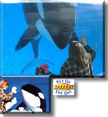 Takara, the Pet of the Day