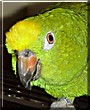 Gladys