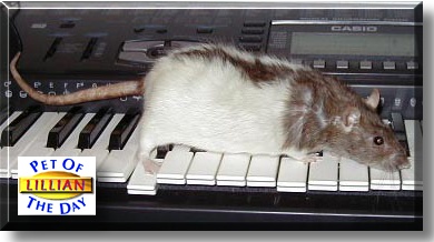 Lillian, the Pet of the Day