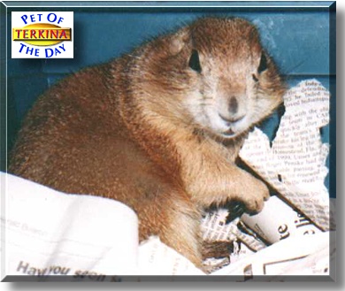 Terkina, the Pet of the Day
