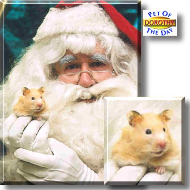 Dorothy, the Pet of the Day