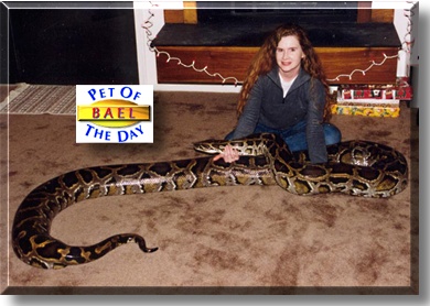 Bael, the Pet of the Day