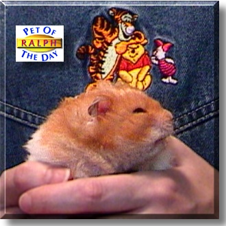 Ralph, the Pet of the Day