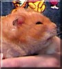 Ralph