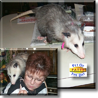 Patty, the Pet of the Day