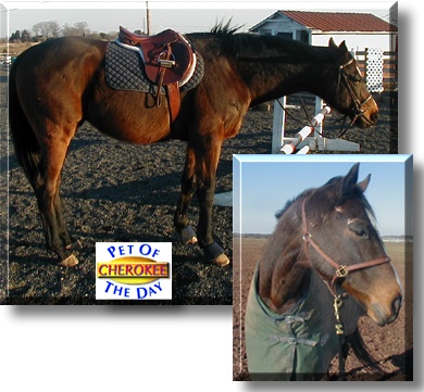 Cherokee, the Pet of the Day