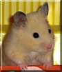 Ralph