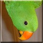 Manuel