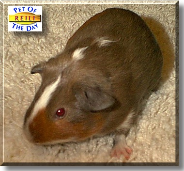 Reili, the Pet of the Day