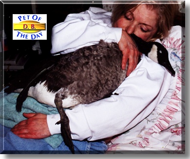 Dirty Bird, the Pet of the Day