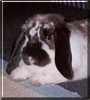 Billy