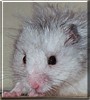 Spunky