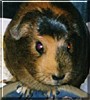 Tootie