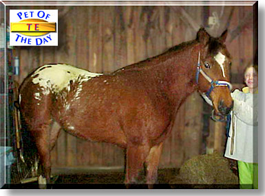 Te, the Pet of the Day