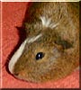 Copper