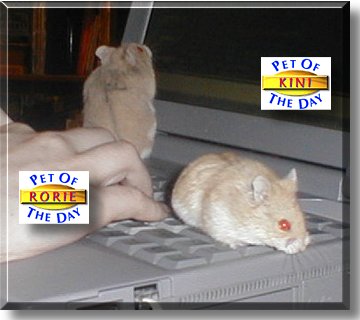 Rorie and Kini, the Pet of the Day