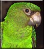 Duncan
