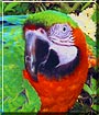 Rio