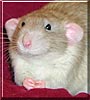 Duncan