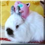 Fluffy