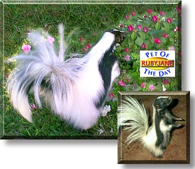 Ruby Jane, the Pet of the Day