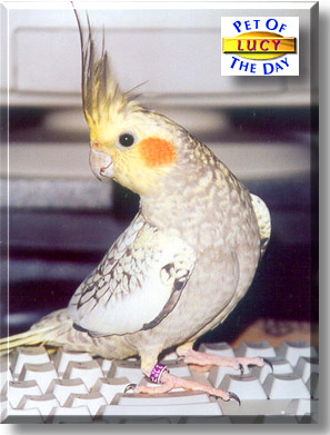 http://www.petoftheday.com/archive/2002/November/27.jpg