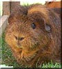 Charlie