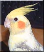 Spike