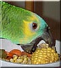 Mikki