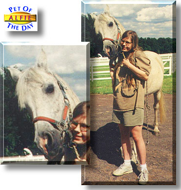 Alfie, the Pet of the Day