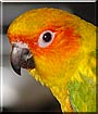Marley