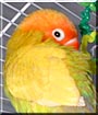 WeeOne