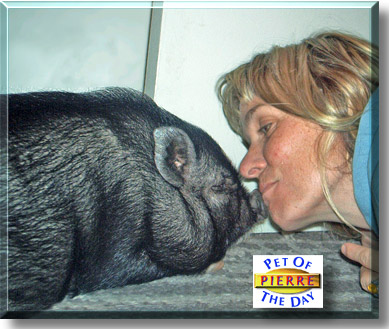 Pierre, the Pet of the Day