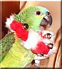 Rudy