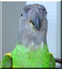 Duncan