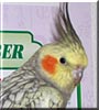 Tweety